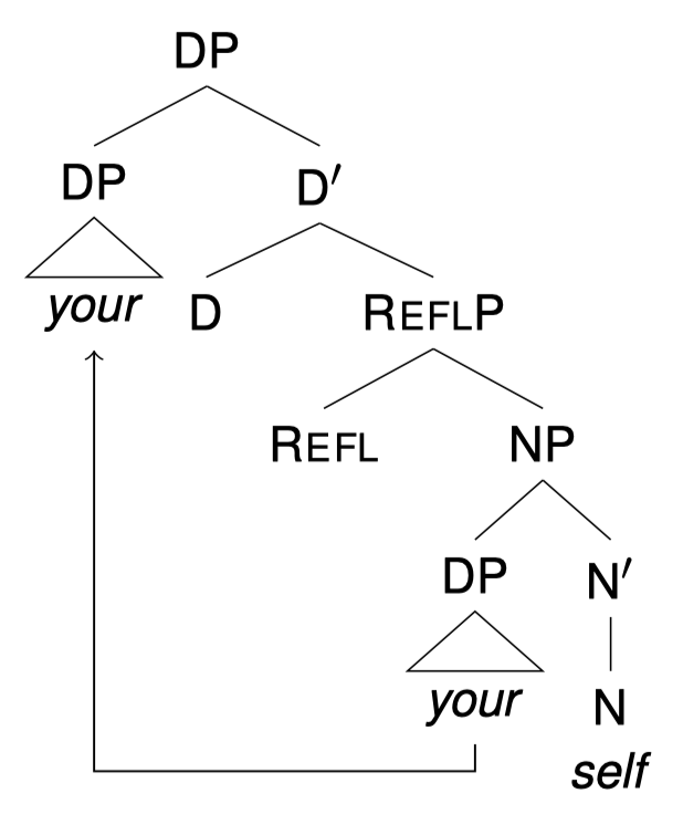 A syntactic analysis of English 'yourself'